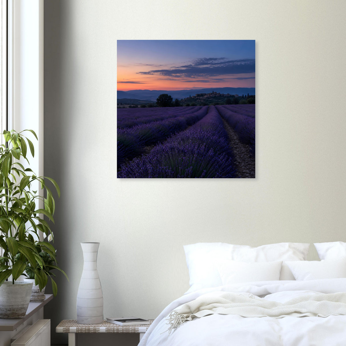 Quadratisches Poster mit Lavendelreihen im Abendlicht und wolkigem Himmel.