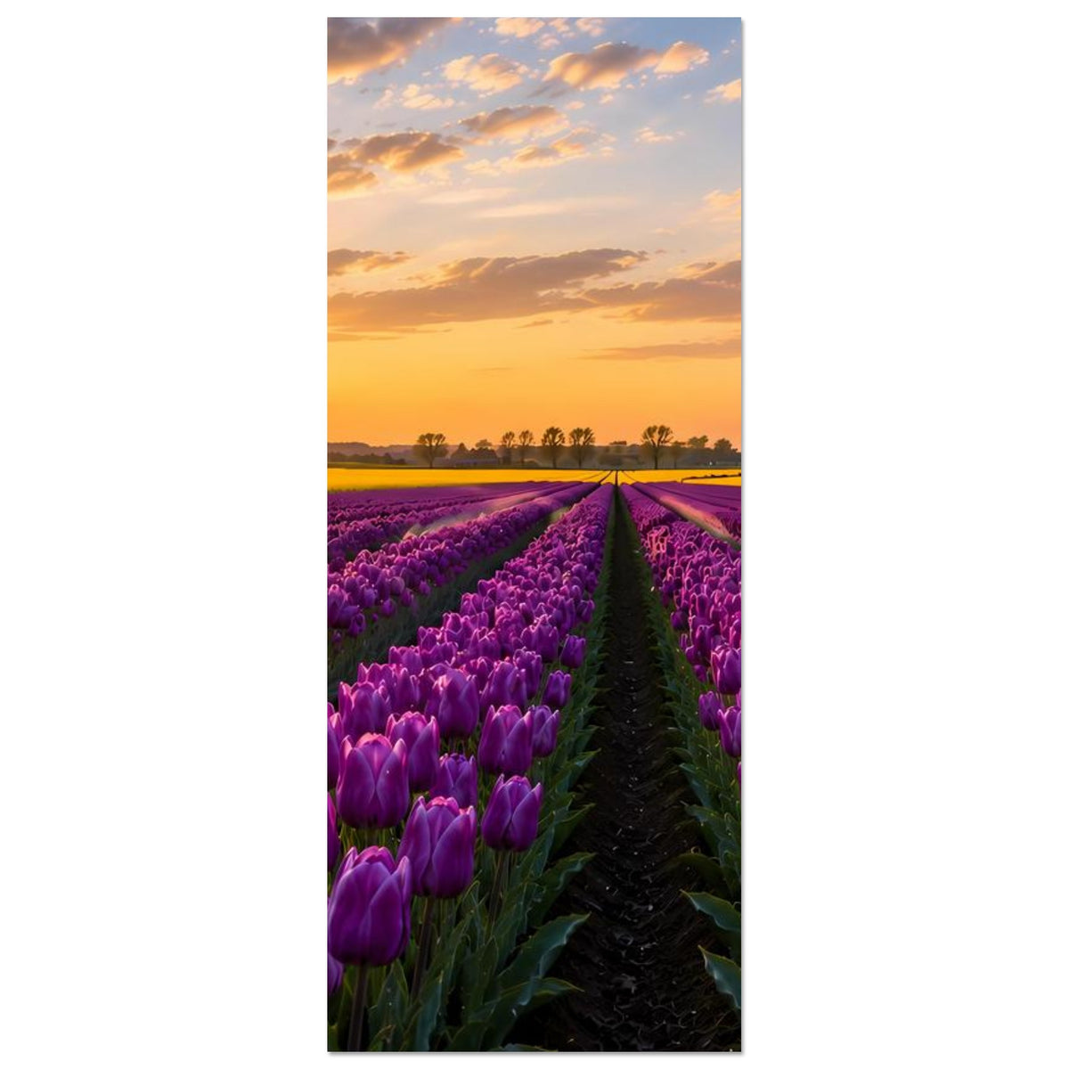 Poster im Hochformat mit lila Tulpenfeld, Sonnenuntergang und Weg in der Mitte