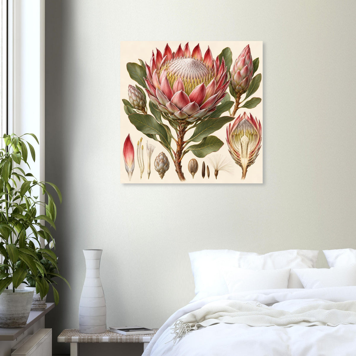 Quadratisches Poster mit Protea-Blüte und Knospen, Rot/Rosa und grüne Blätter