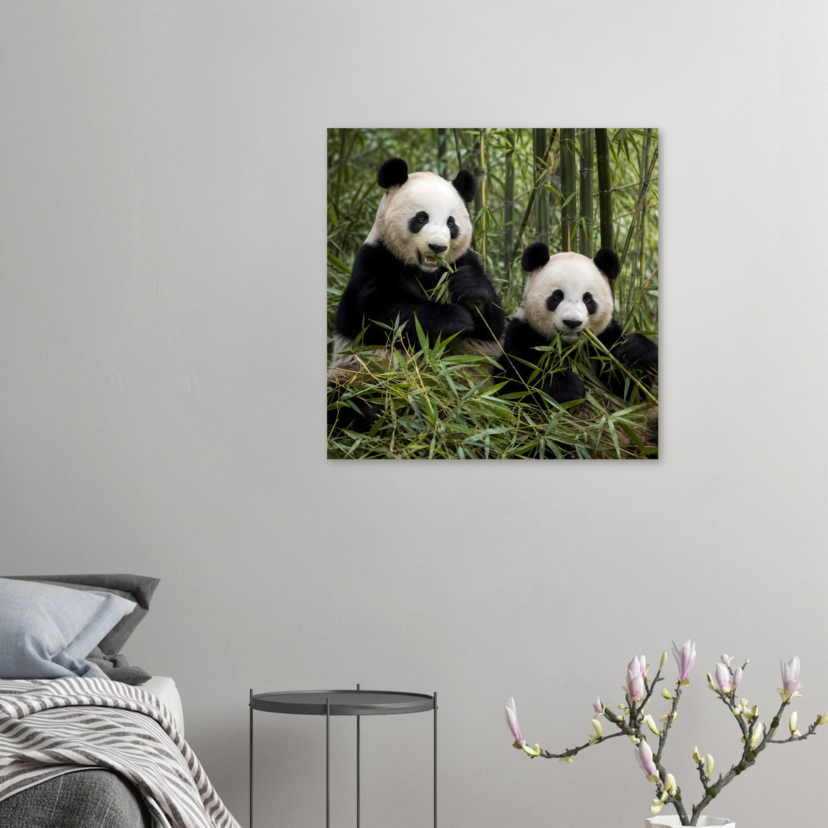 Kleines Duo-Poster mit zwei Pandas im Bambus, an der Wand, Pandas mittig