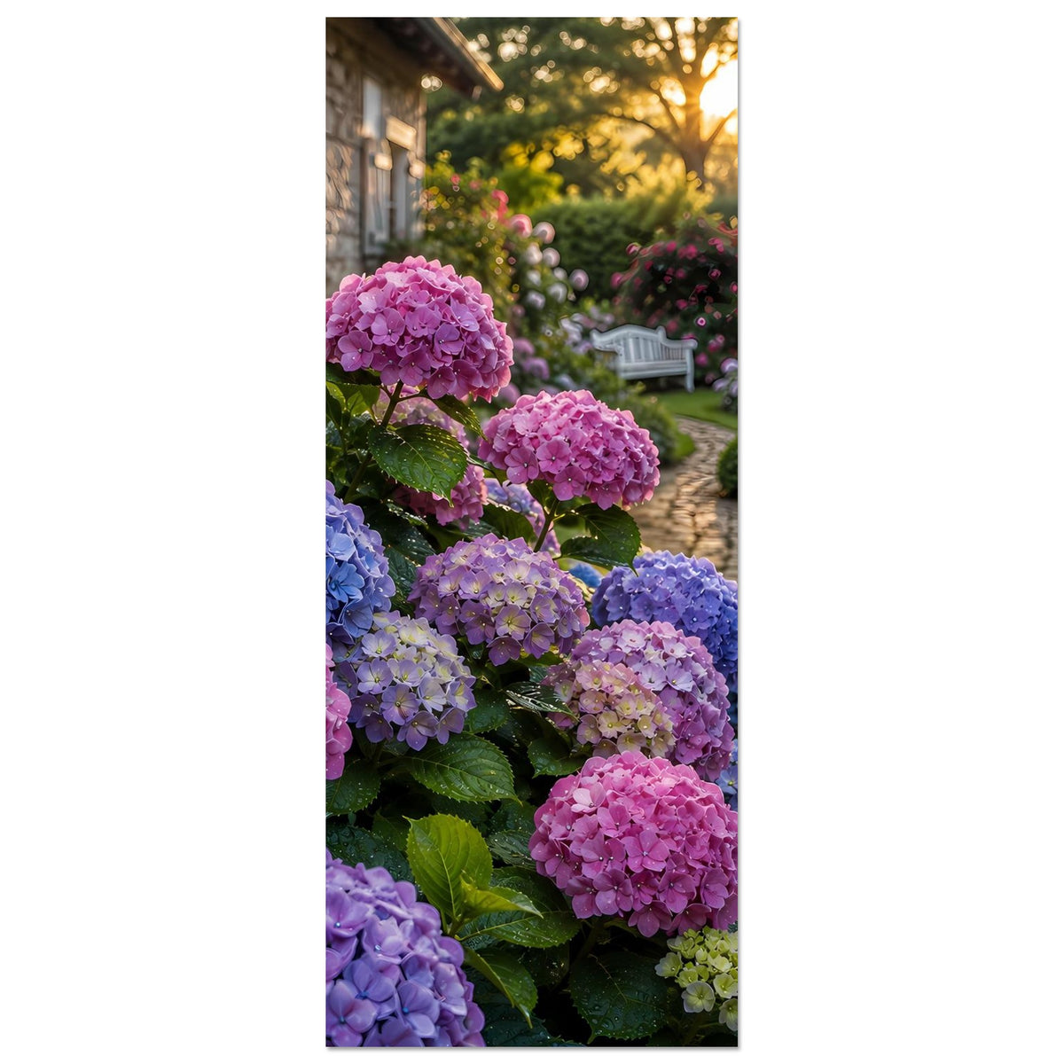 Premium Poster im Hochformat: Hortensien in Pink, Violett und Blau, Gartenweg mit Bank