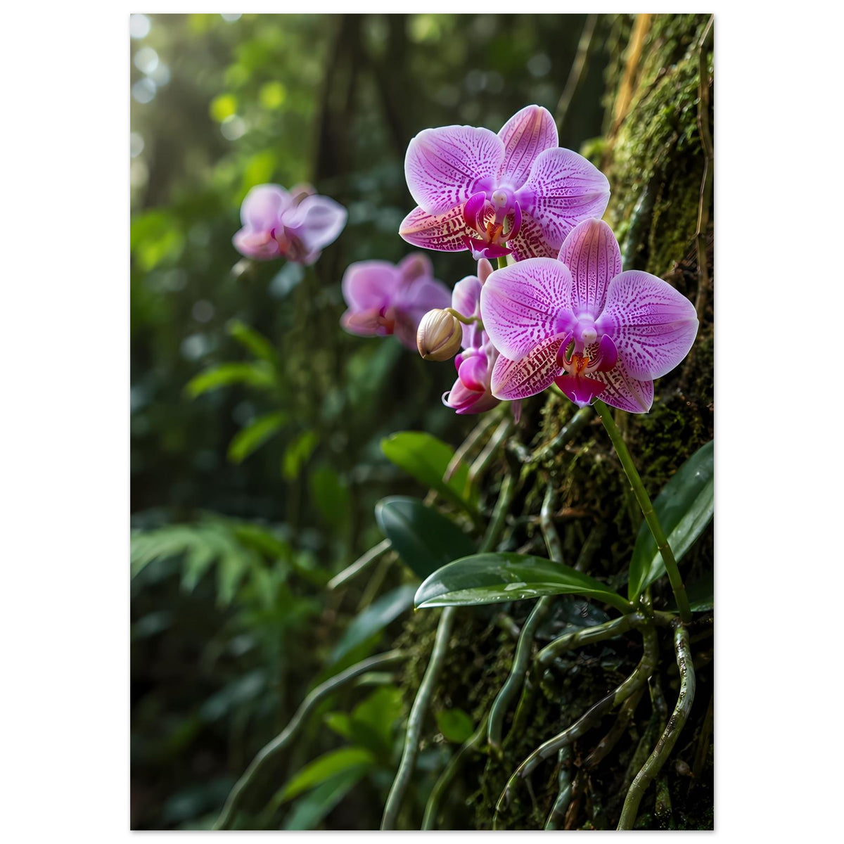 Botanisches Orchideen-Poster mit violetten Orchideenblüten, Hochformat mit breitem Rand