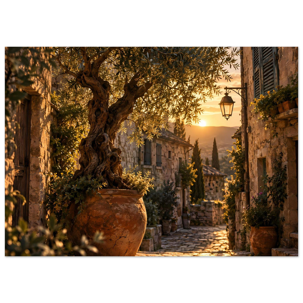 Sonnenuntergangs-Poster (Querformat): Blick in die mediterrane Gasse, Olivenbaum und Laterne.