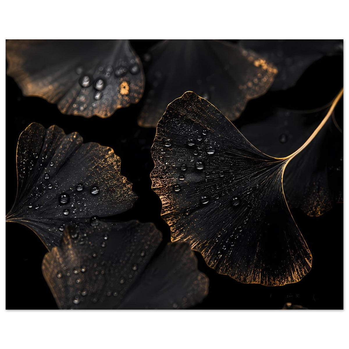 Horizontales Poster mit Ginkgo-Blatt-Illustration in Schwarz und goldenem Akzent, Tropfen