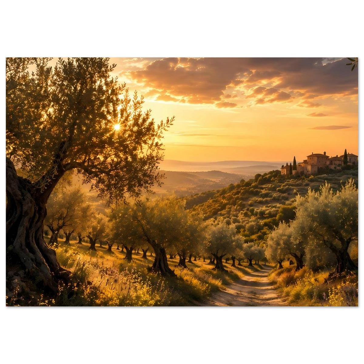 Querformat-Poster: Olivenhain mit schmalem Feldweg und Dorfansicht im Abendlicht