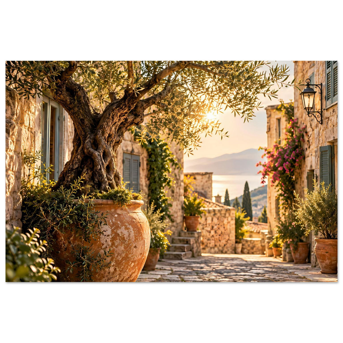 Mediterranes Fotoposter: Olivenbaum, Tongefäß und Fensterläden in der Gasse