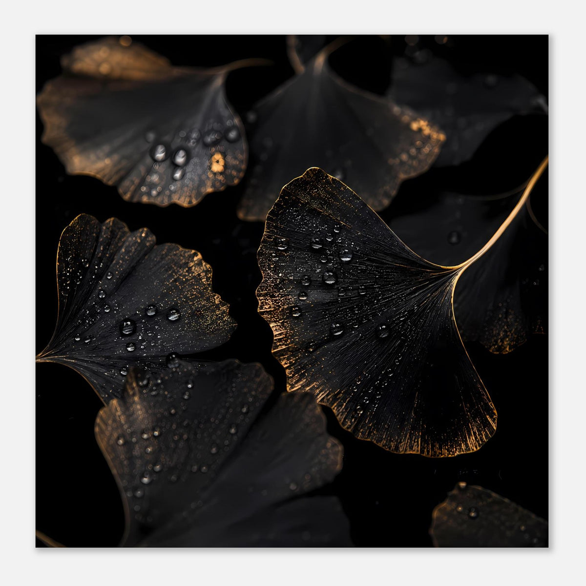 Ginkgo-Blatt-Poster mit schwarzen Blättern, goldenen Akzenten und Wassertropfen