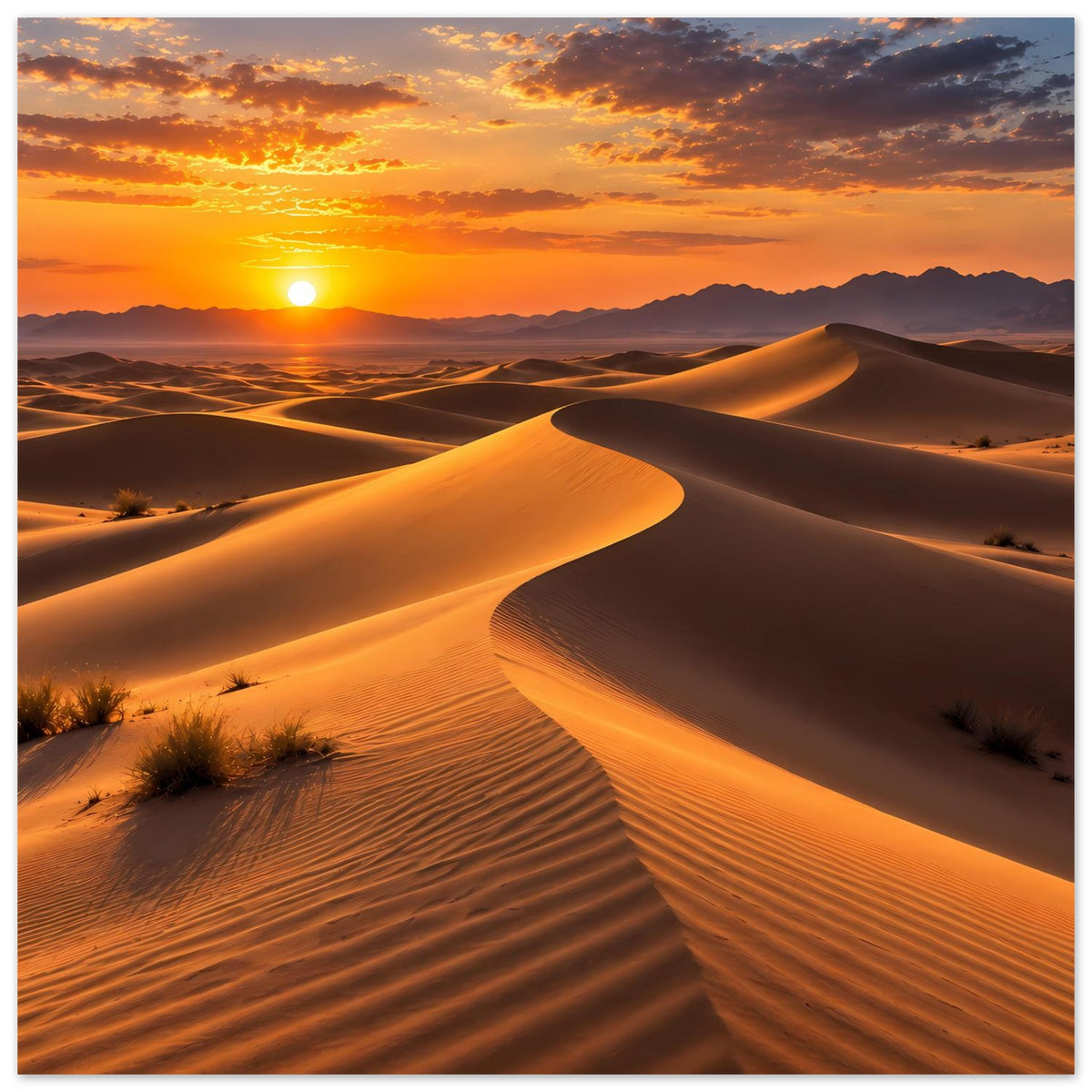 Wüsten-Sonnenuntergang-Poster im quadratischen Format: Dünen mit warmen Tönen und Sonne