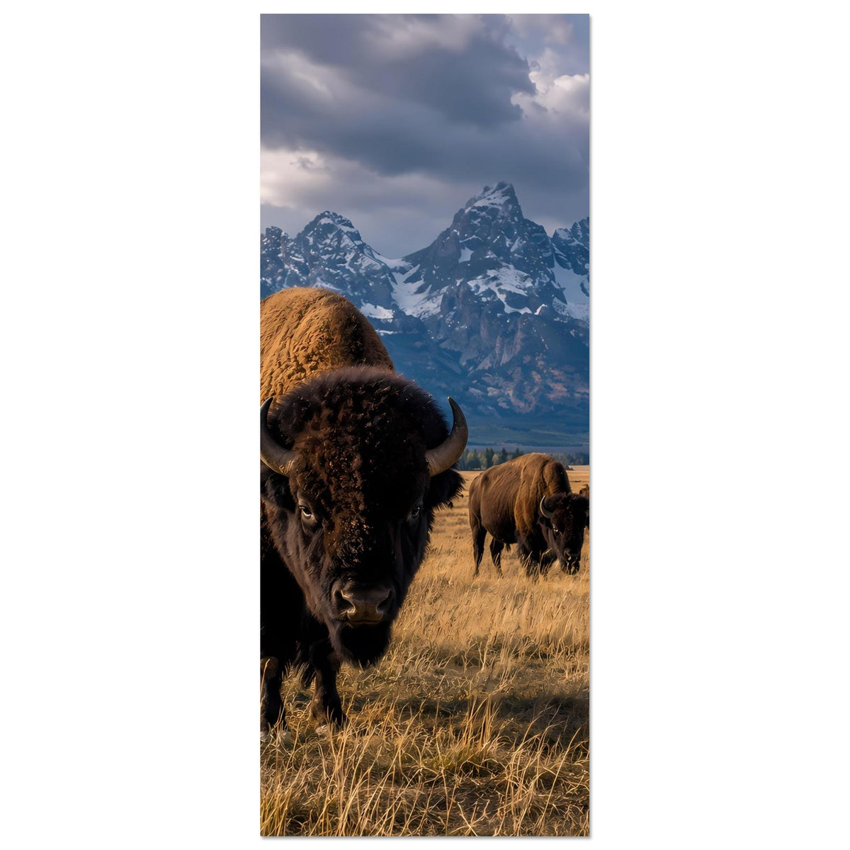 Poster im Hochformat: Vordergrundbison mit Hörnern und Büffelherde dahinter