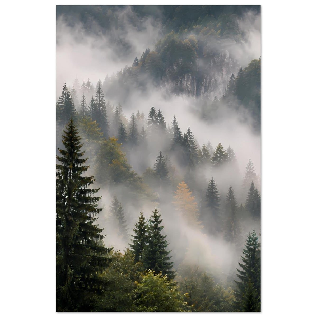 Poster im Hochformat: Nadelwald mit Nebel, Tannen im Vordergrund, entfernte Berge