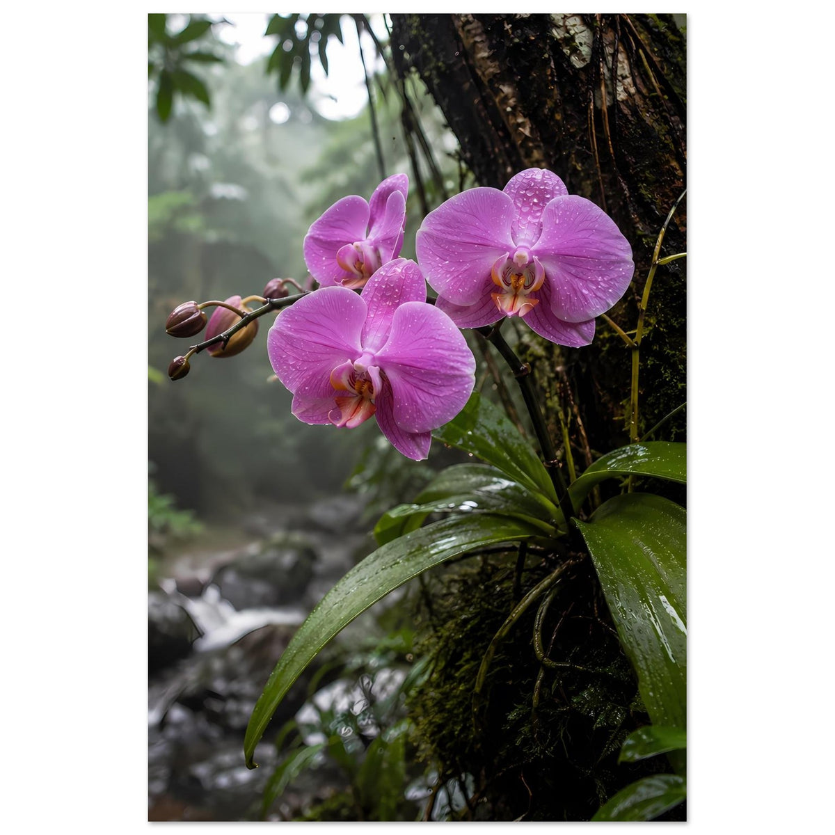 Orchideen-Poster im Hochformat mit drei violetten Orchideenblüten und grünen Blattresten