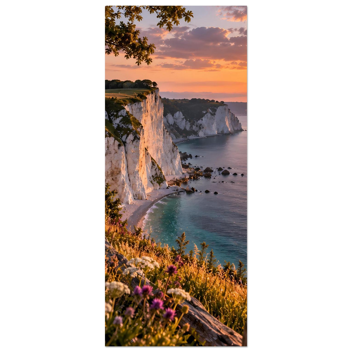 Hochkant-Poster mit Kreidefelsen und Küste, Blumenwiese vorn sowie Sonne im Sonnenuntergang