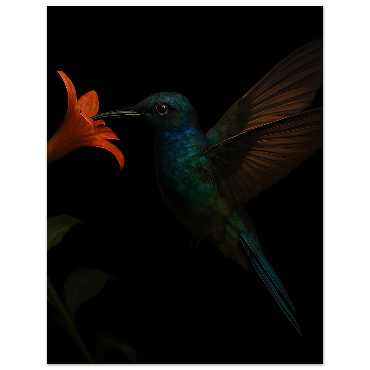 Poster im Hochformat: türkiser Kolibri mit langen Schwanzfedern, orangefarbene Lilie, dunkel