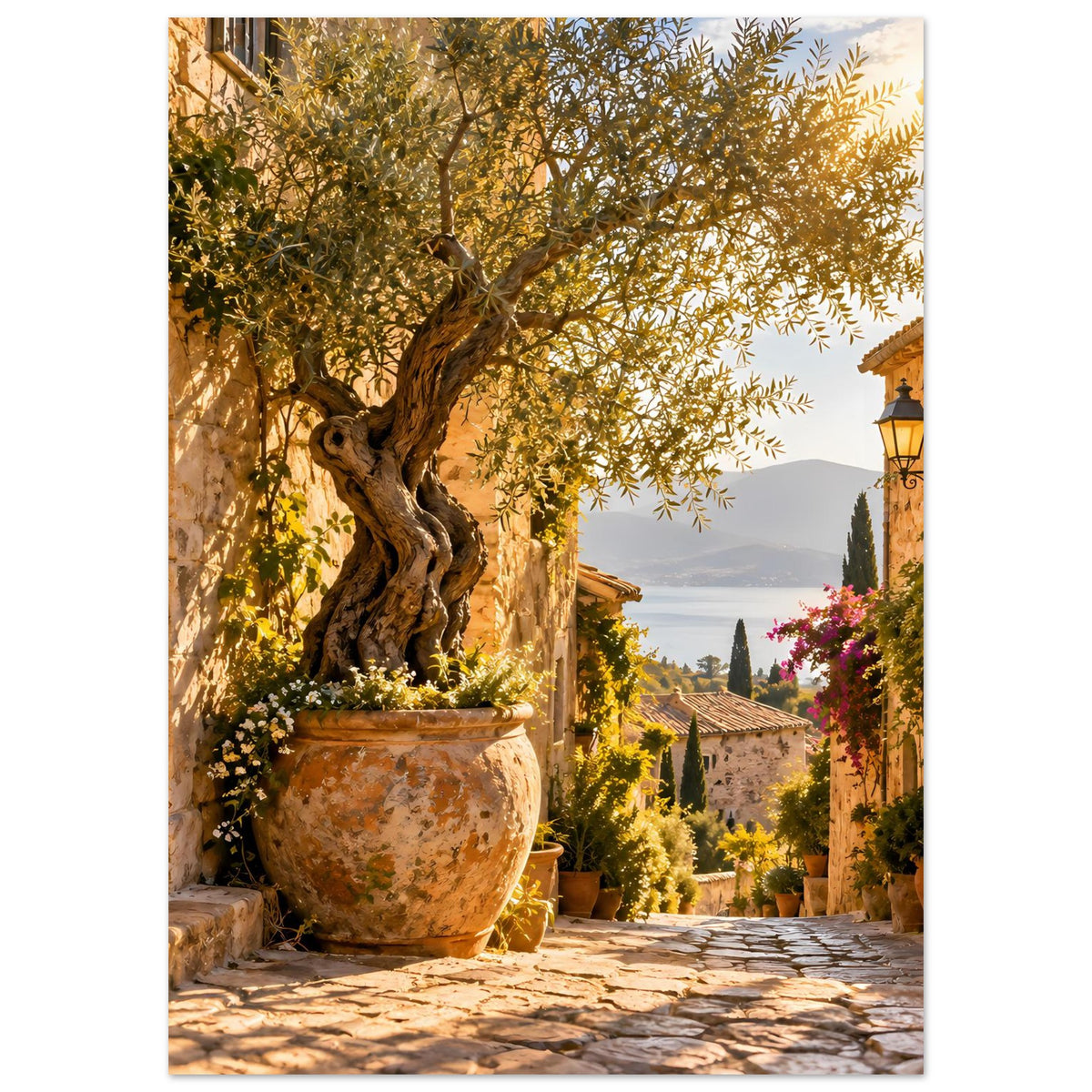 Wandposter mediterranes Straßenzugmotiv: Olivenbaum im Topf, Laterne und Aussicht
