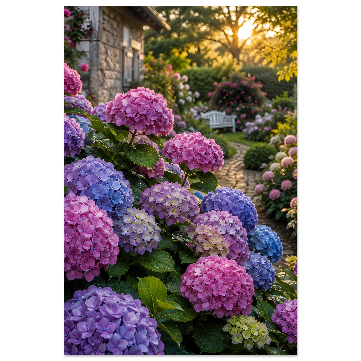Vertikales Hydrangea-Gartenposter mit pinken, blauen und lila Hortensien nahe dem Weg