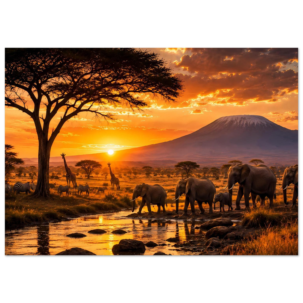 Safari-Poster mit Elefanten am Wasser, Akazie und Abendhimmel