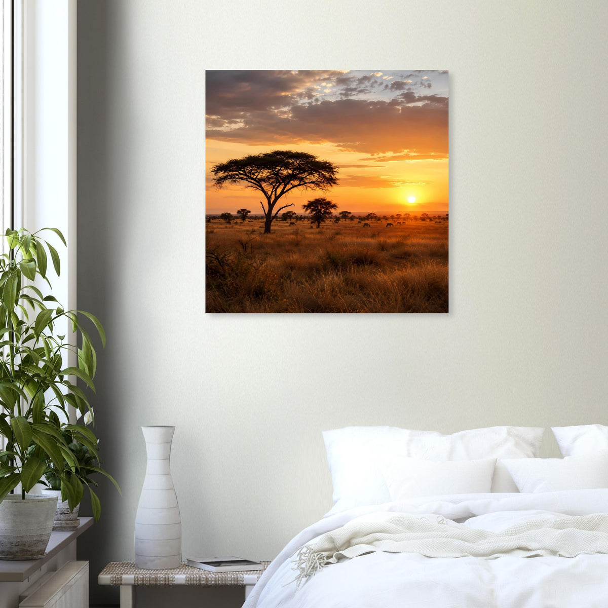 Gerahmtes Quadratposter mit Akazienbaum in der Savanne bei Sonnenuntergang