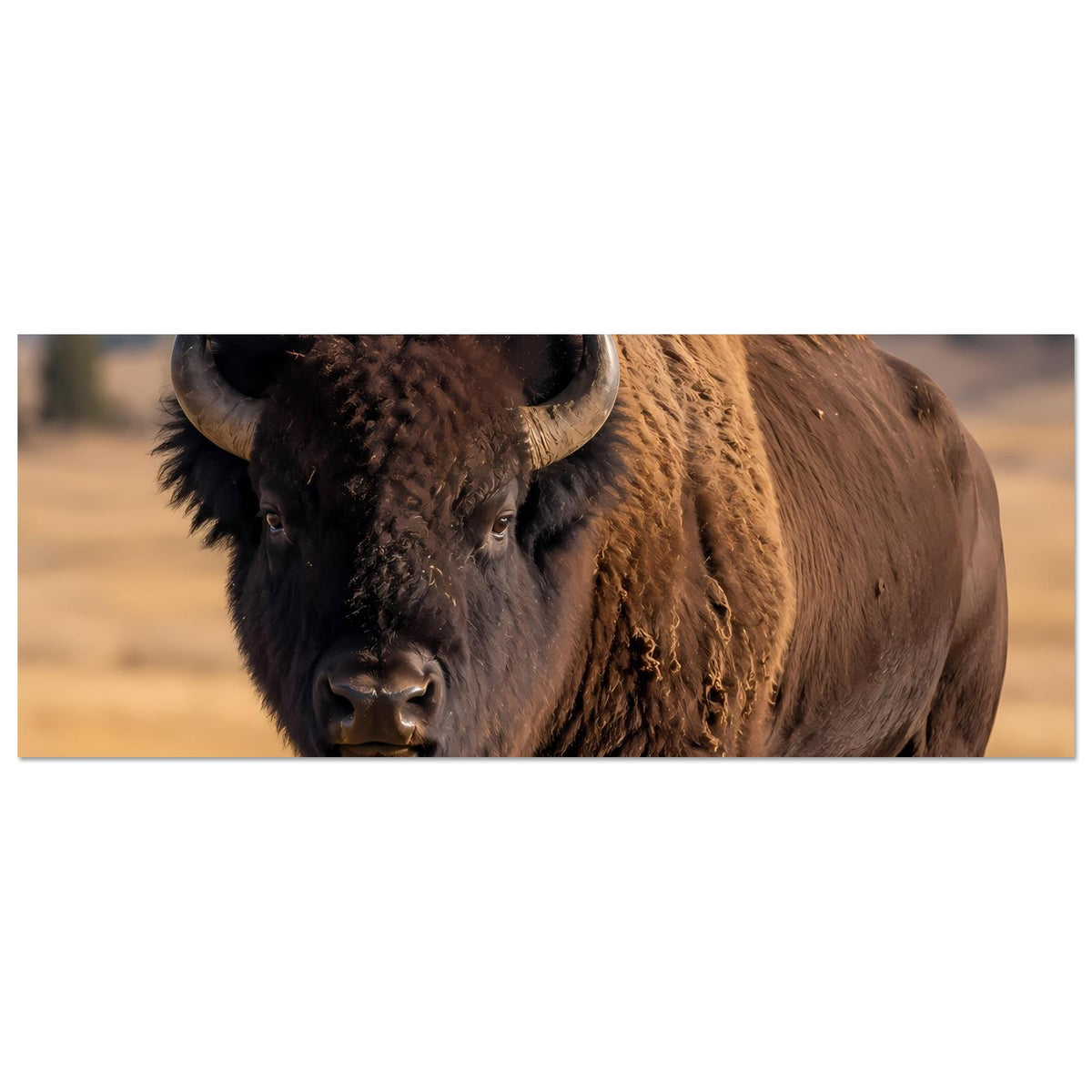 Bison-Wildtierposter (horizontal): Nahaufnahme von Kopf und Vorderkörper