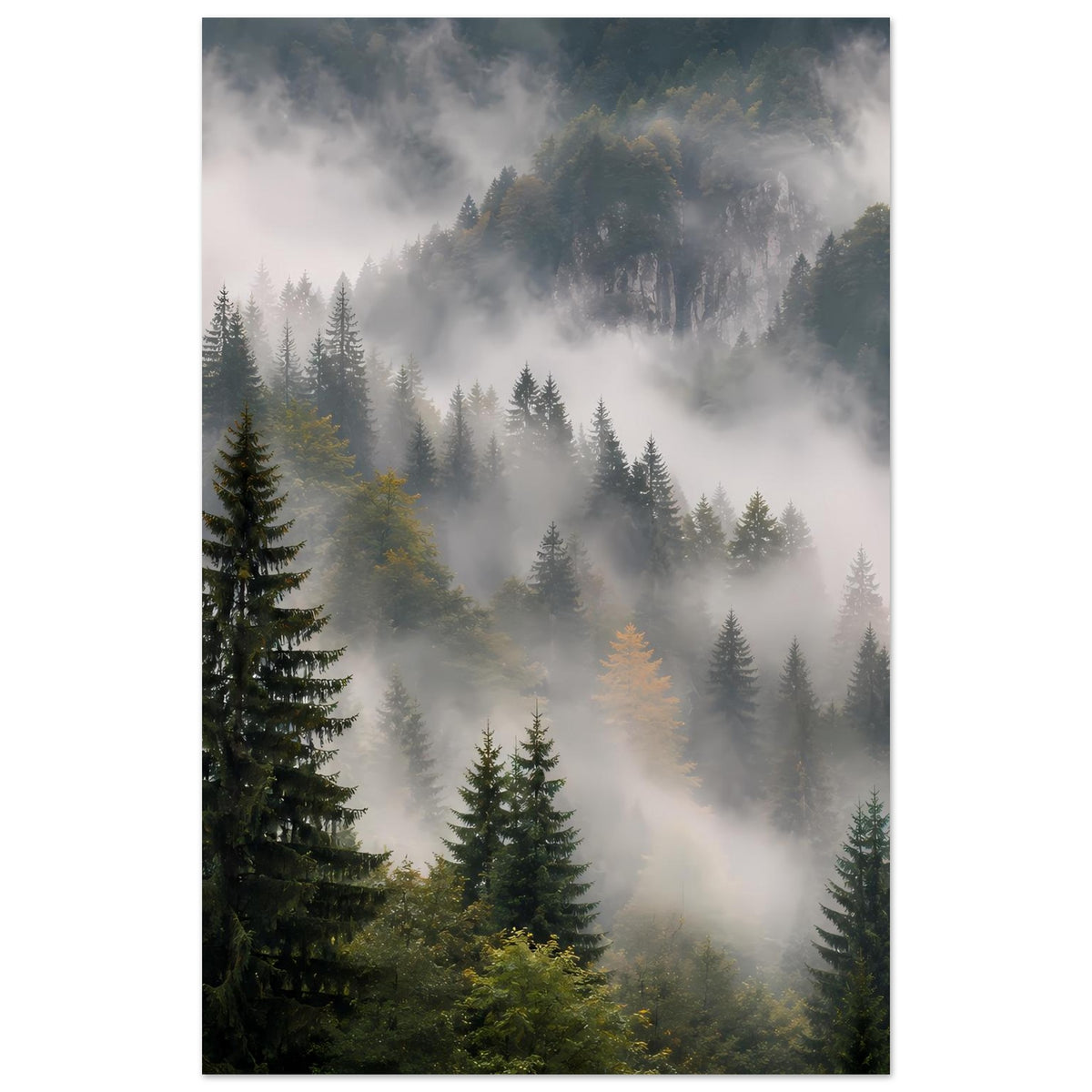 Waldposter, schmale vertikale Ausrichtung: Tanne links, Nebel über Wald und Bergen