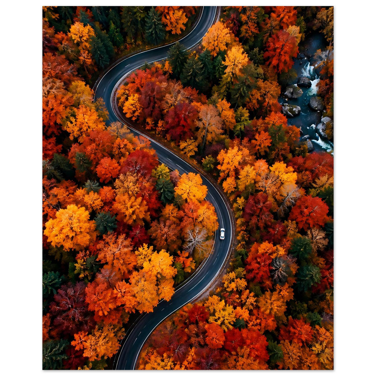 Herbstposter mit geschwungener Straße und dichtem Herbstlaub, Hochformat