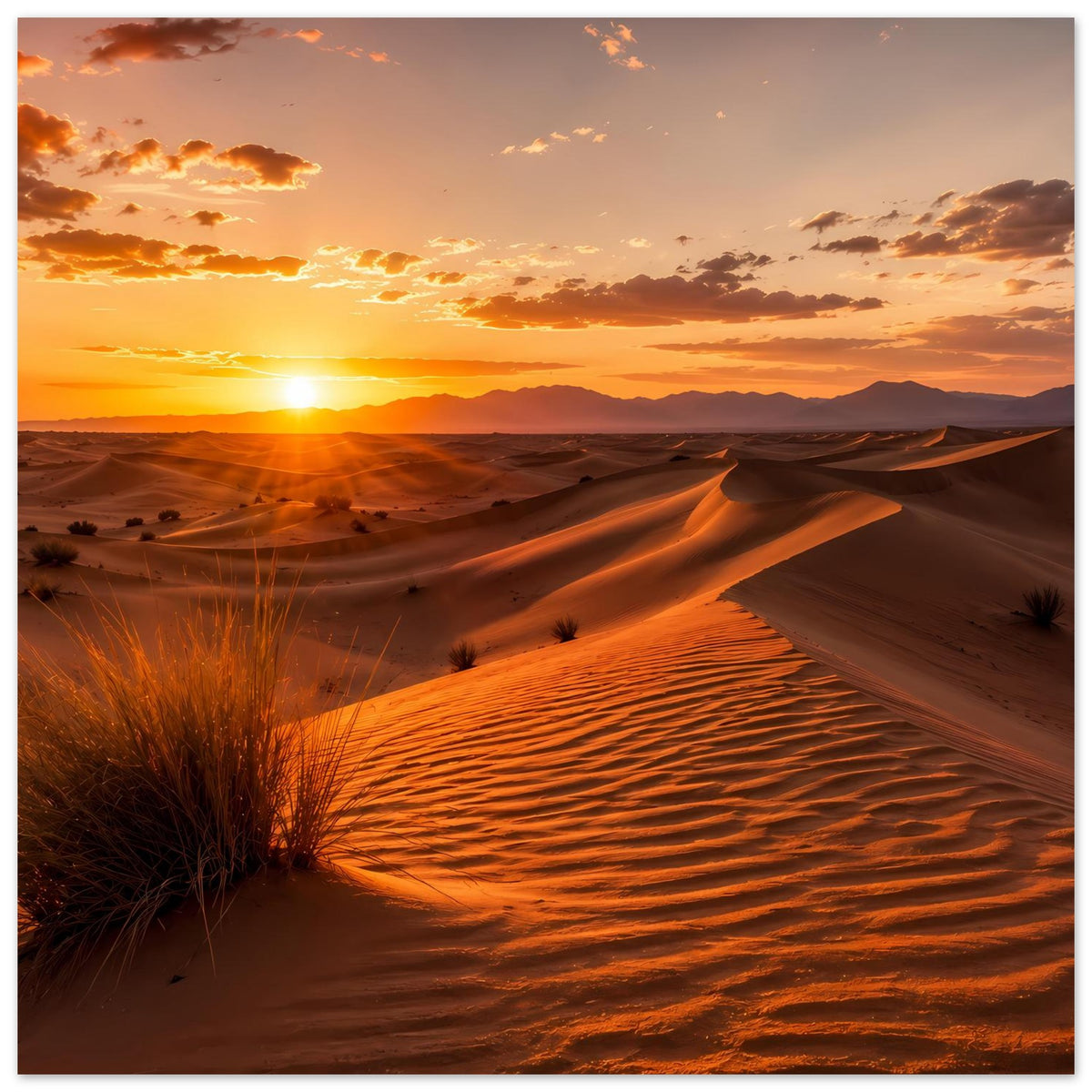 Wüstenposter mit goldenen Sanddünen und Sonnenuntergang im Querformat