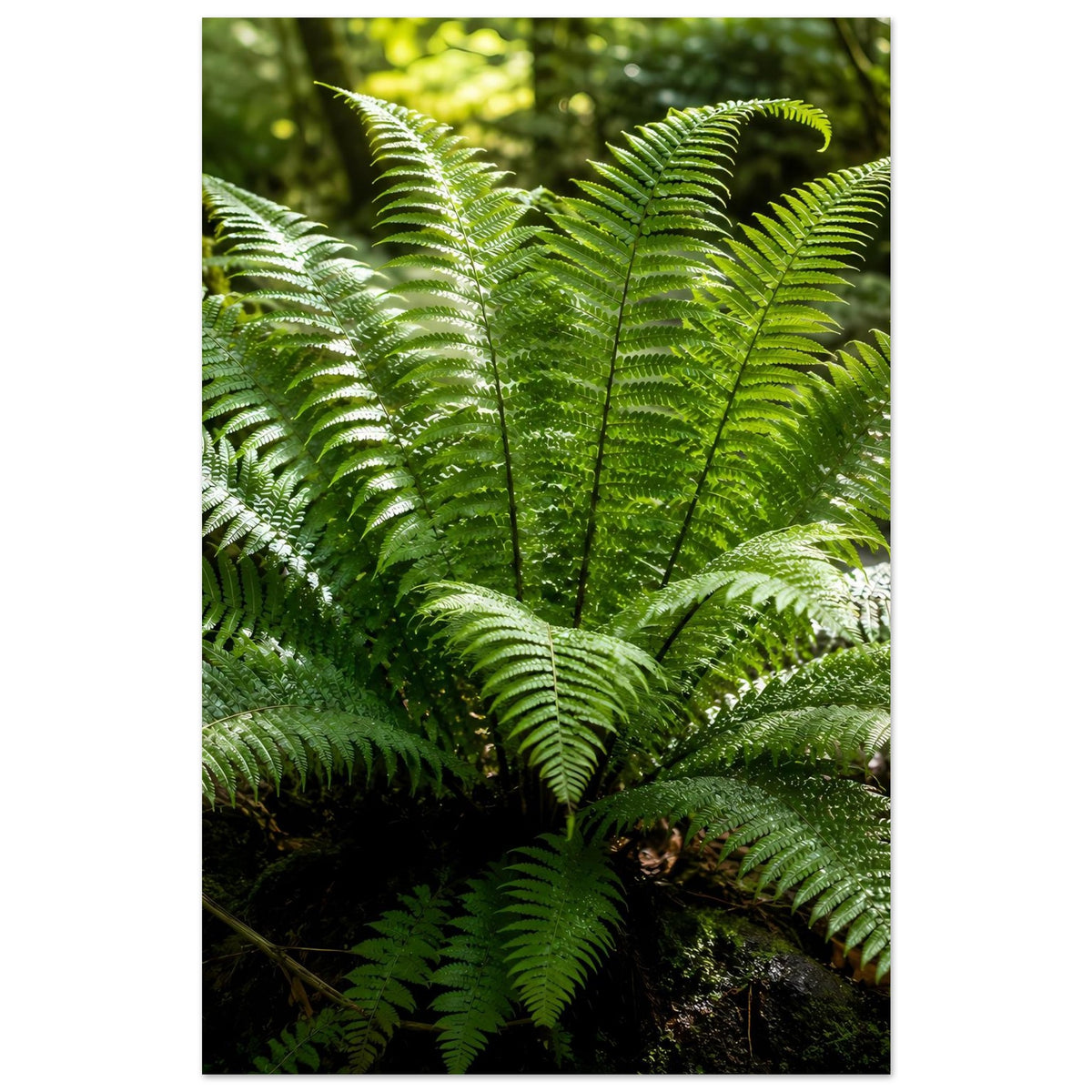 Botanisches Naturposter mit grünen Farnwedeln, hochformatiges Motiv