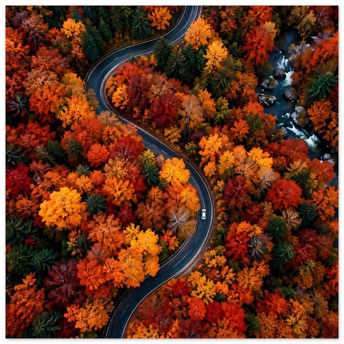 Poster mit kurviger Straße durch Herbstwald, leuchtende Orange- und Gelbflächen und Bach