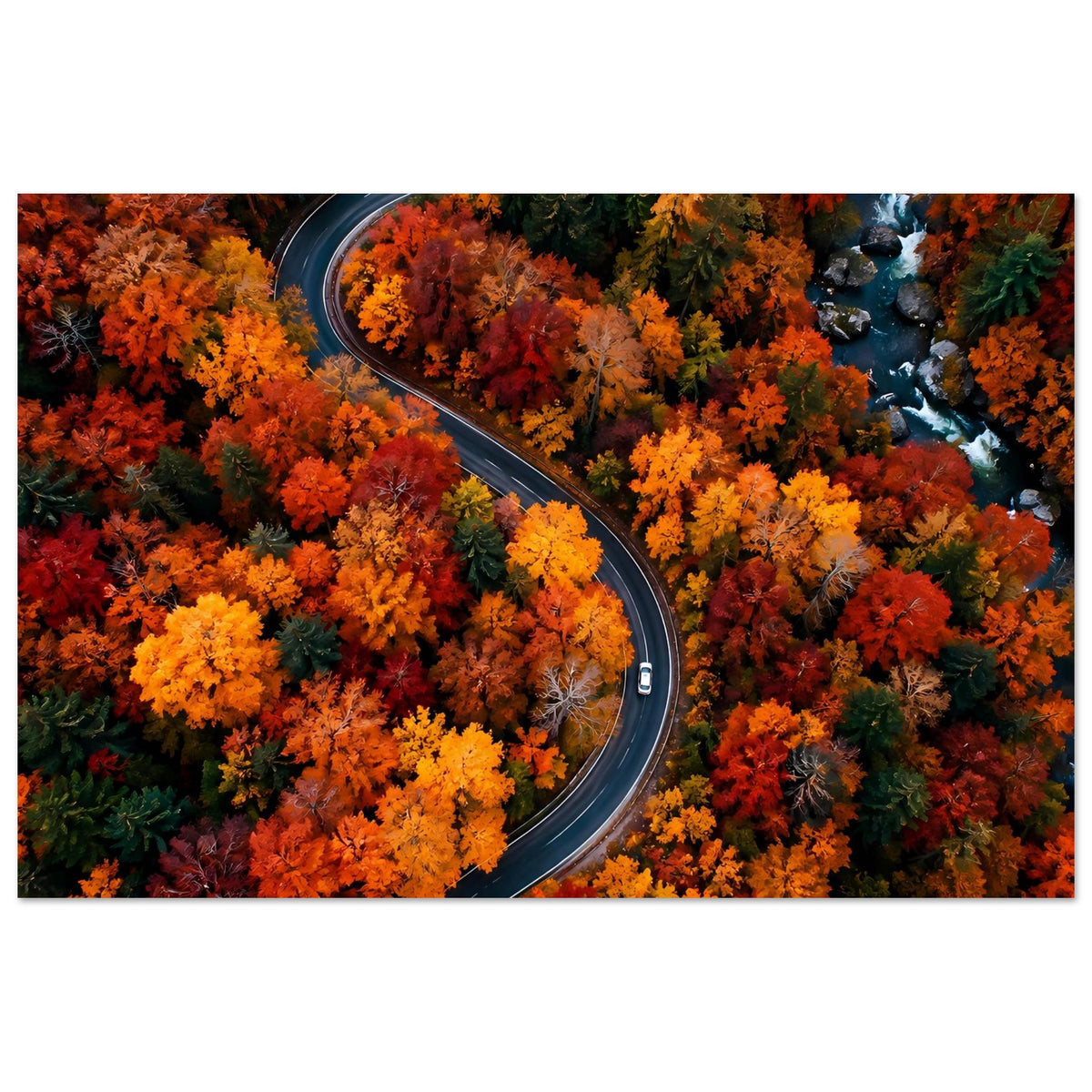Poster mit kurviger Straße durch dichte Herbstwälder in Orange-, Gelb- und Rottönen