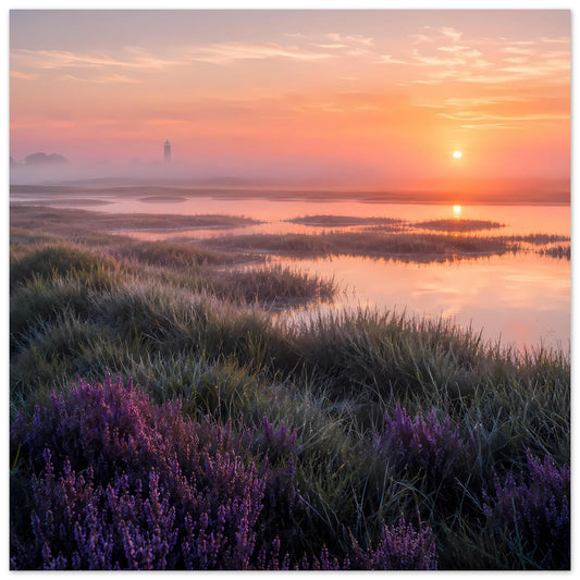 Poster mit Abendlandschaft: ruhiger See, violette Blüten im Vordergrund, Sonne mit Spiegelung.