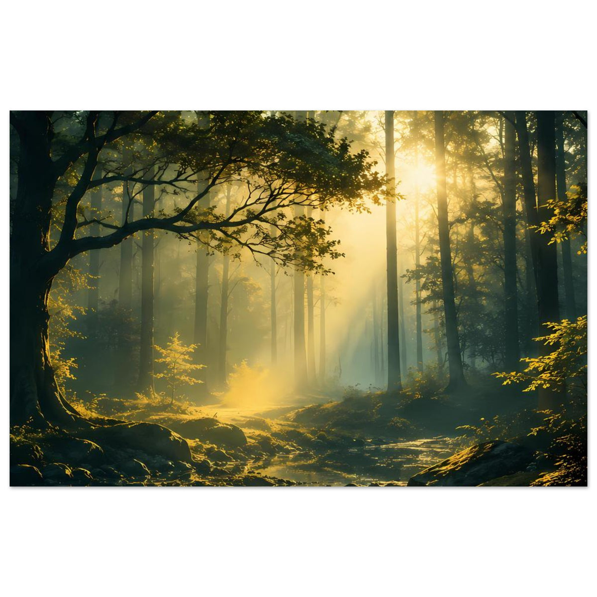 Horizontales Waldposter auf mattem Premium-Papier mit Sonnenlicht, Waldwegen und spiegelndem Wasser.