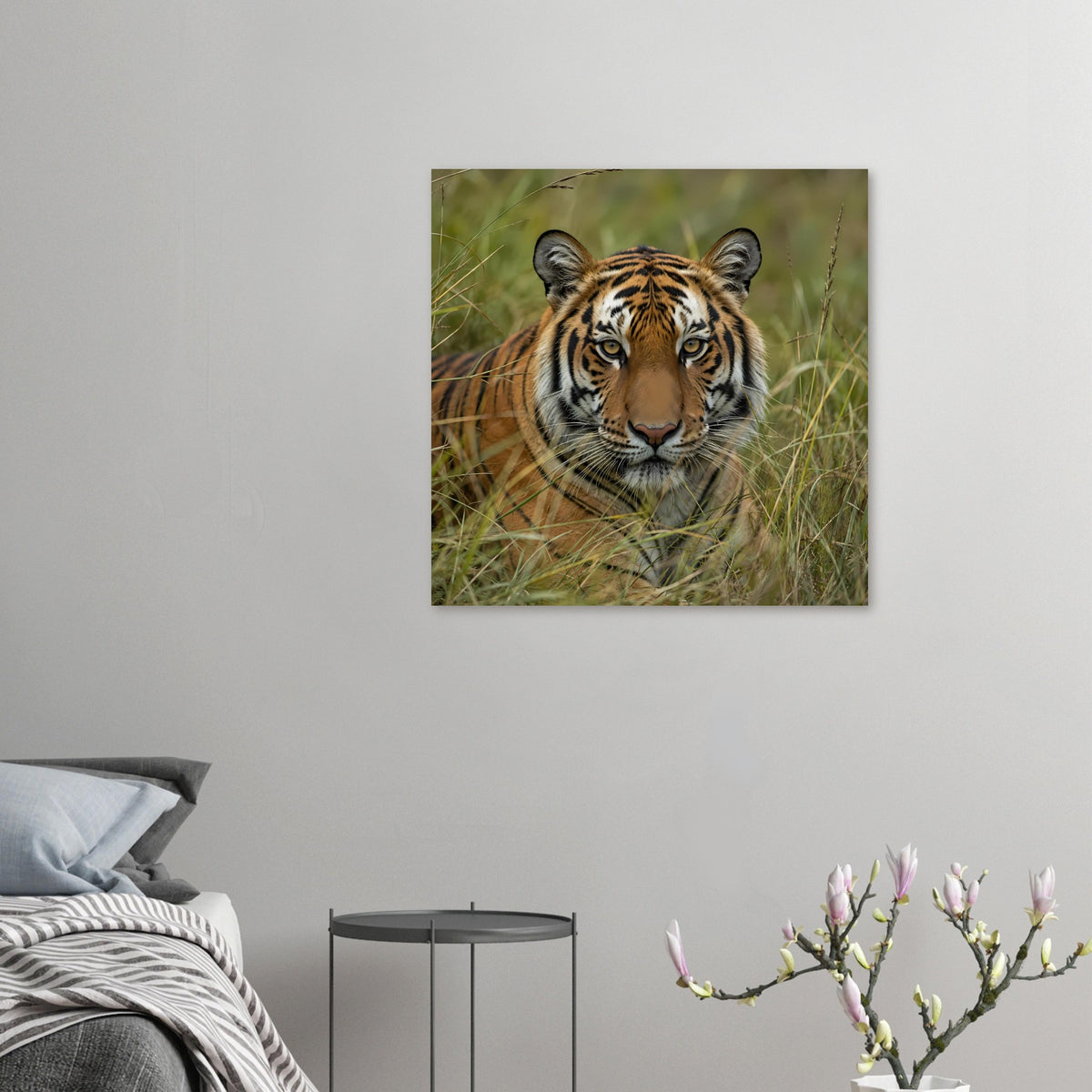 Quadratisches Poster mit Tiger im hohen Gras, kleiner Bildausschnitt an der Wand