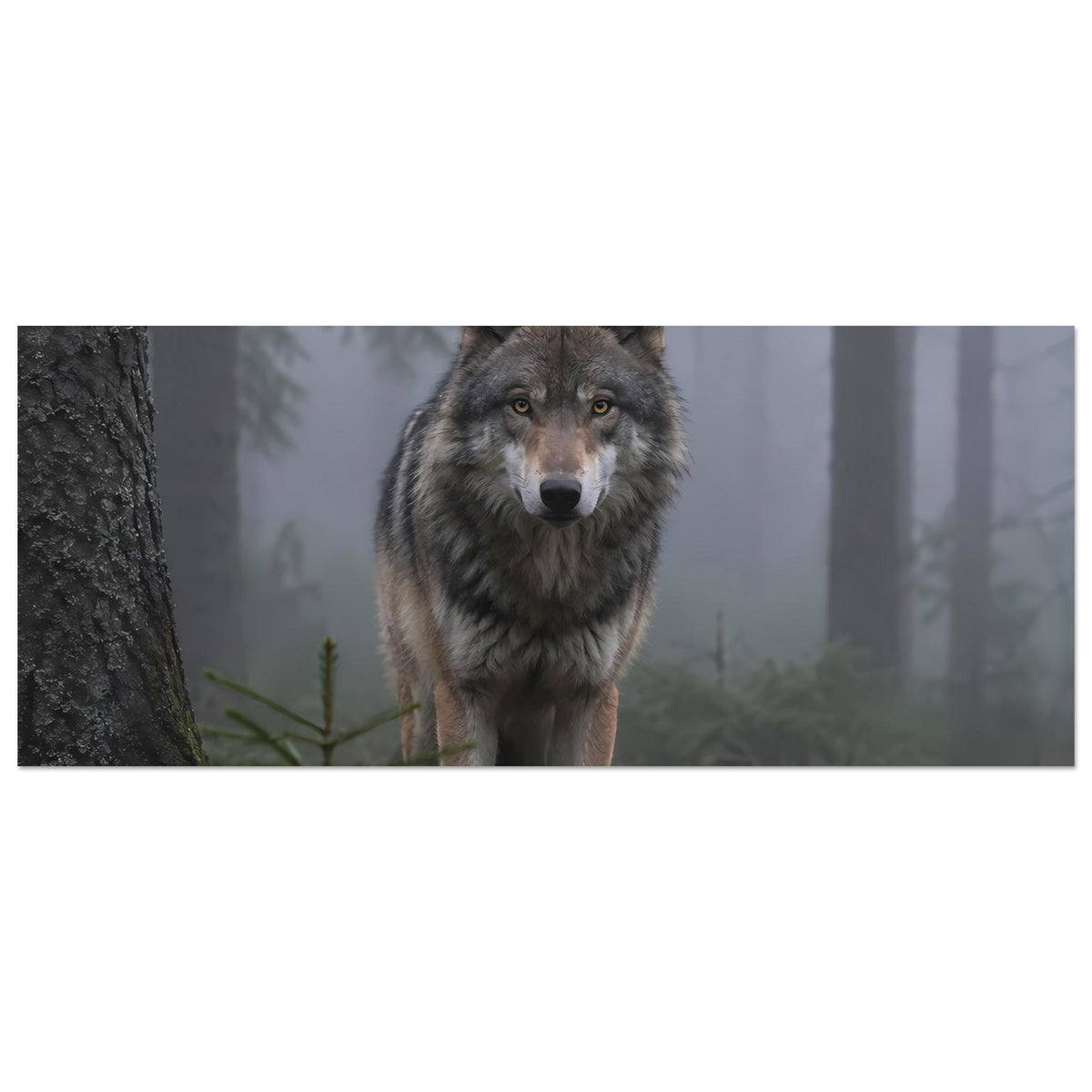 Wolfsposter im Querformat: naher Blick auf den Wolfkopf im Waldmotiv.