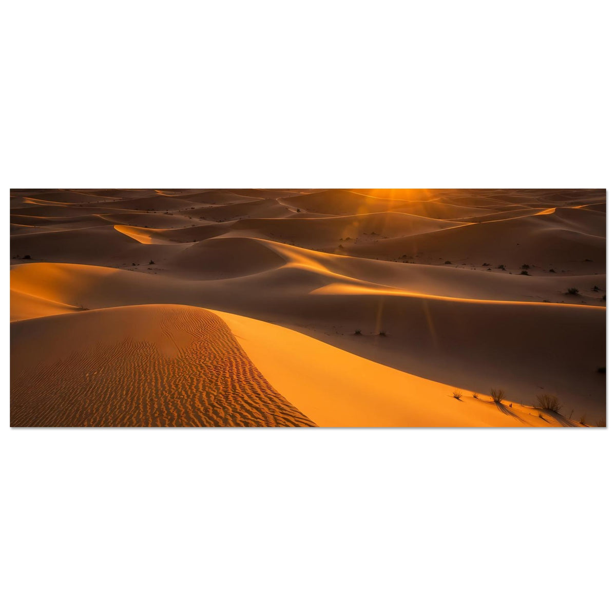 4a6c8bff-a095-47e7-920a-ce5cce084f8e