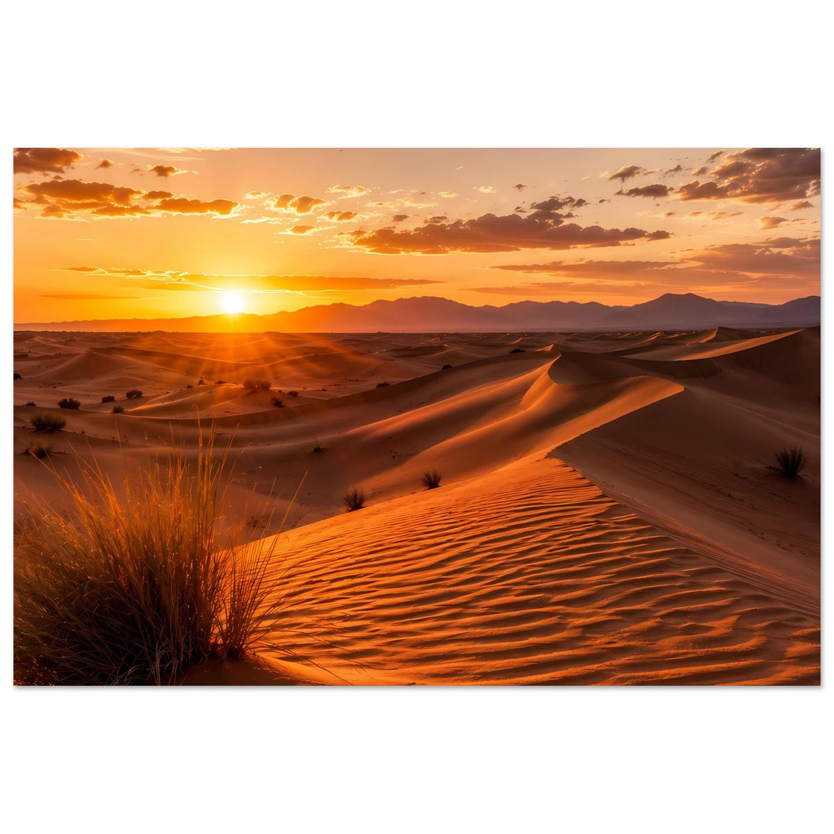 Wüstenposter mit goldenen Sanddünen und Sonne am Horizont im Querformat