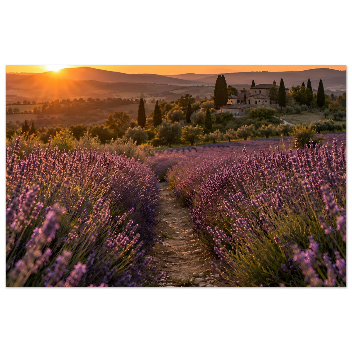 Landschaftsposter mit Lavendelfeld und Weg bei Sonnenuntergang, kleines Schloss im Hintergrund
