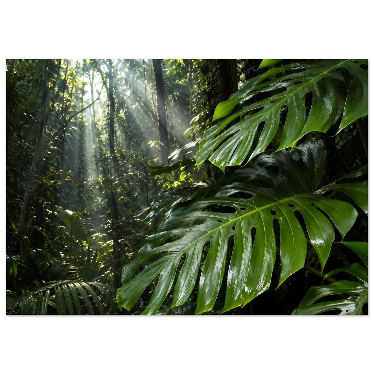 Dschungelposter mit grünen Monstera-Blättern und Waldlicht, horizontales Layout