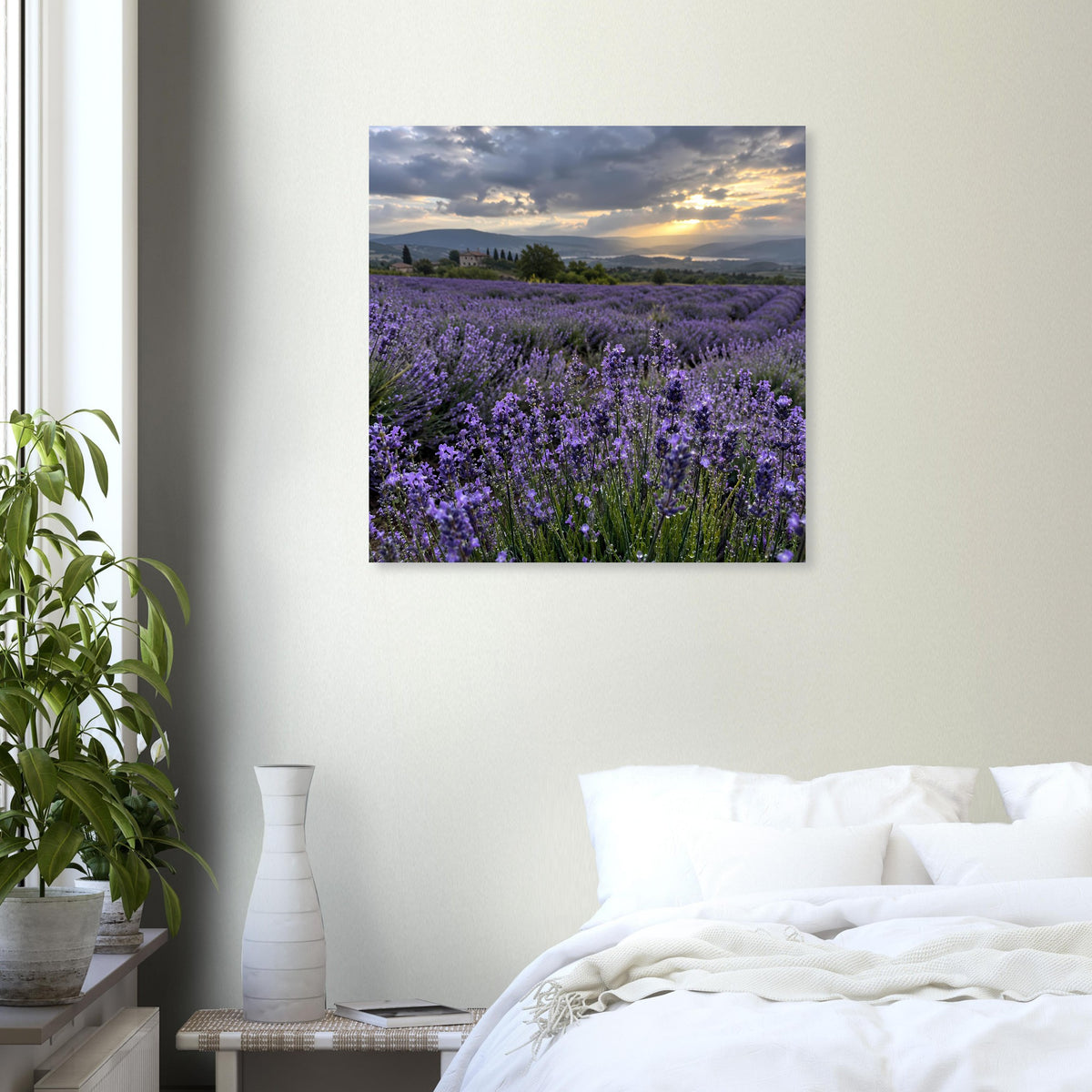 Poster mit Lavendelfeld, goldene Abendsonne und blau-violetter Himmel