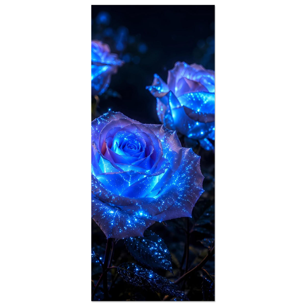Hochformat-Poster mit leuchtender blauer Rosenblüte; blaues Funkeln entlang der Blütenblätter