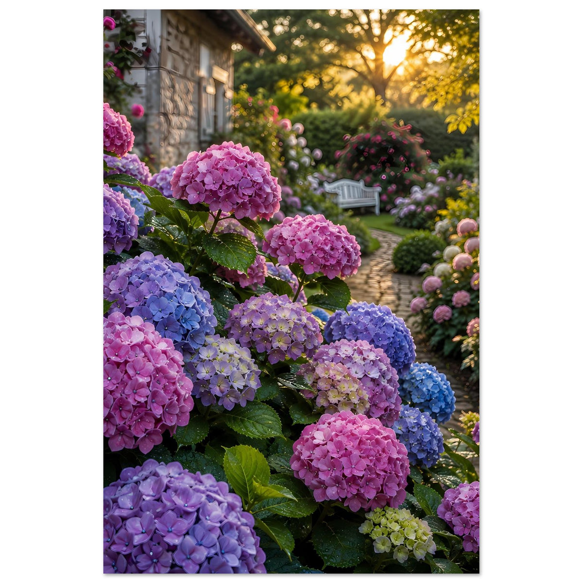 Gartenposter: Hortensienblüten in Pink und Blau, mit Gartenweg und Sträuchern im Bild