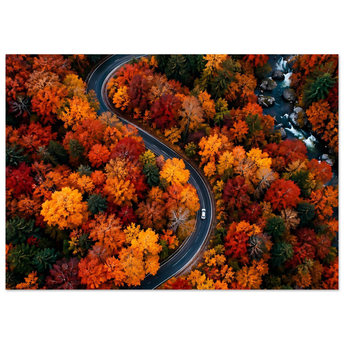 Herbstposter mit kurviger Straße durch orangefarbenes Laub, Querformat