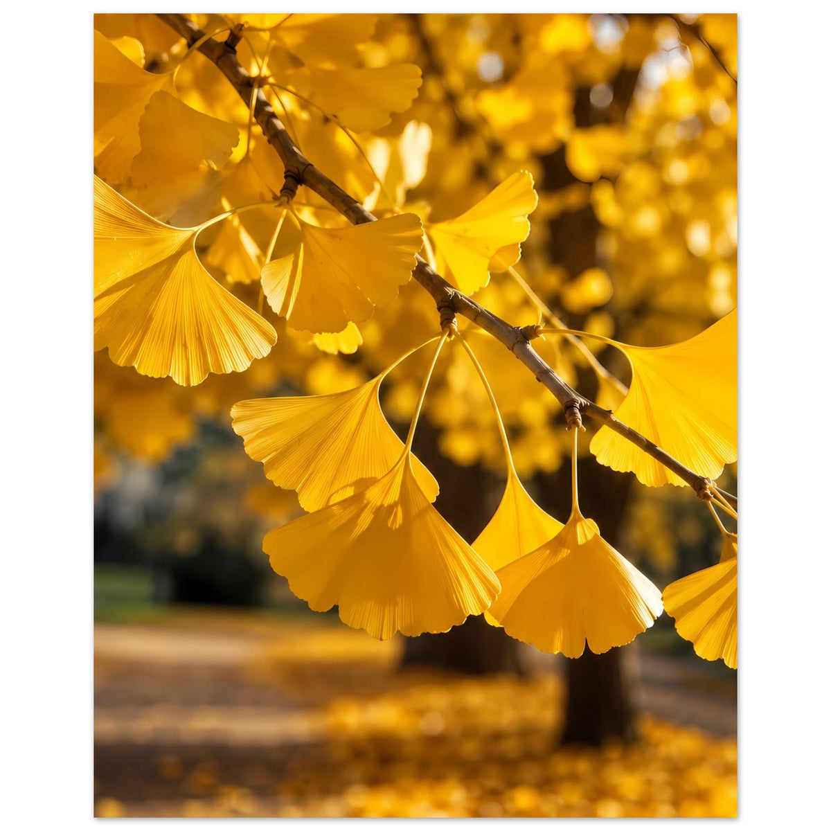 Herbstliches Ginkgoblätter-Poster, goldene Fächerblätter an Ast, breiterer Rand oben