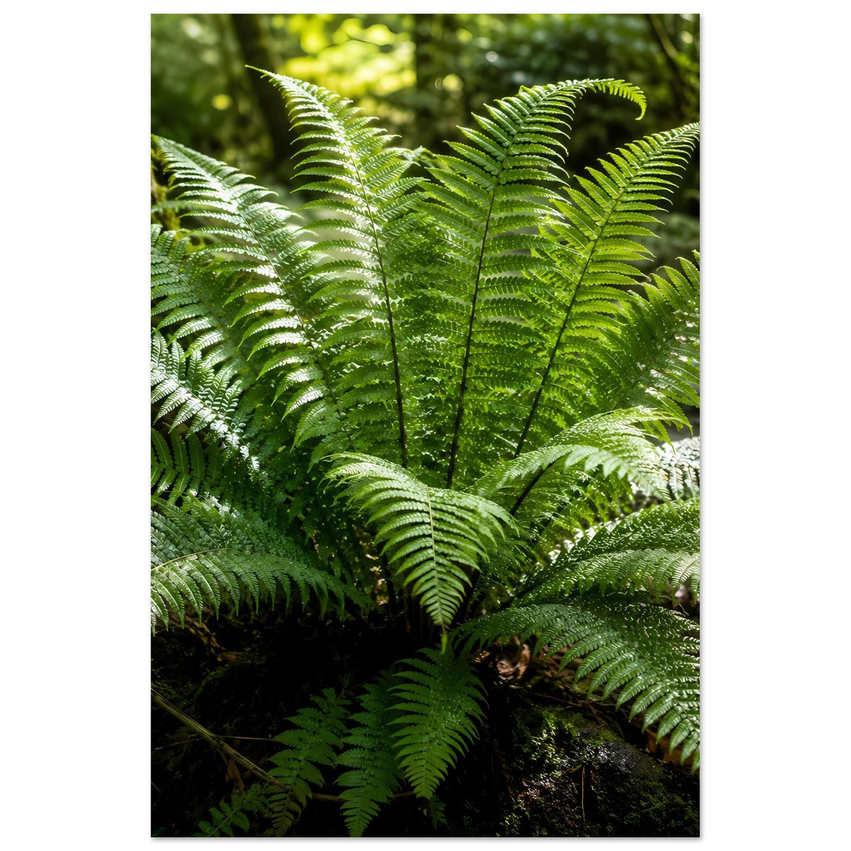 Botanisches Naturposter mit grünen Farnwedeln und dichter Blattstruktur