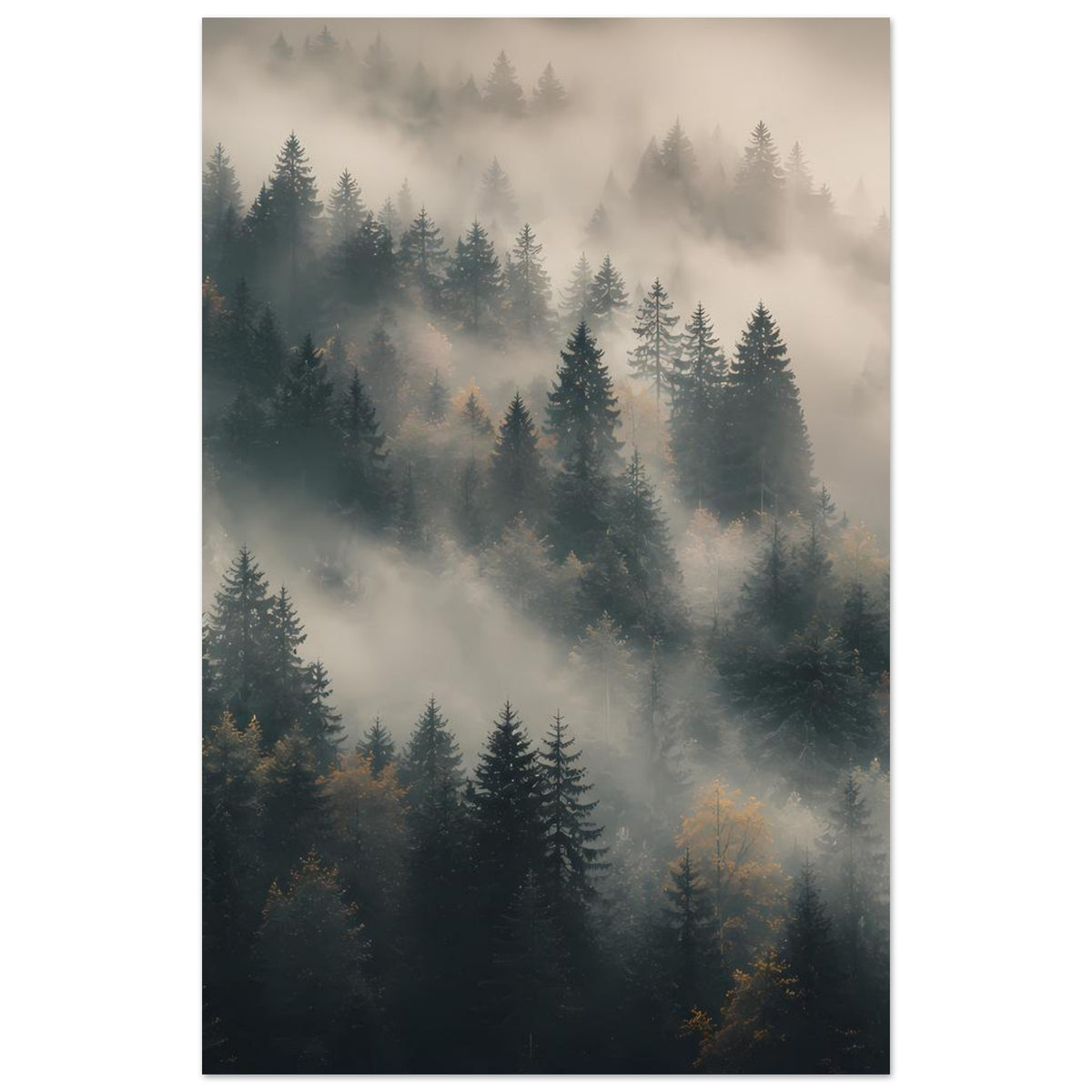 Hochformat-Poster: Tannen zwischen Nebelschwaden, weite Baumreihen in sanften Abstufungen
