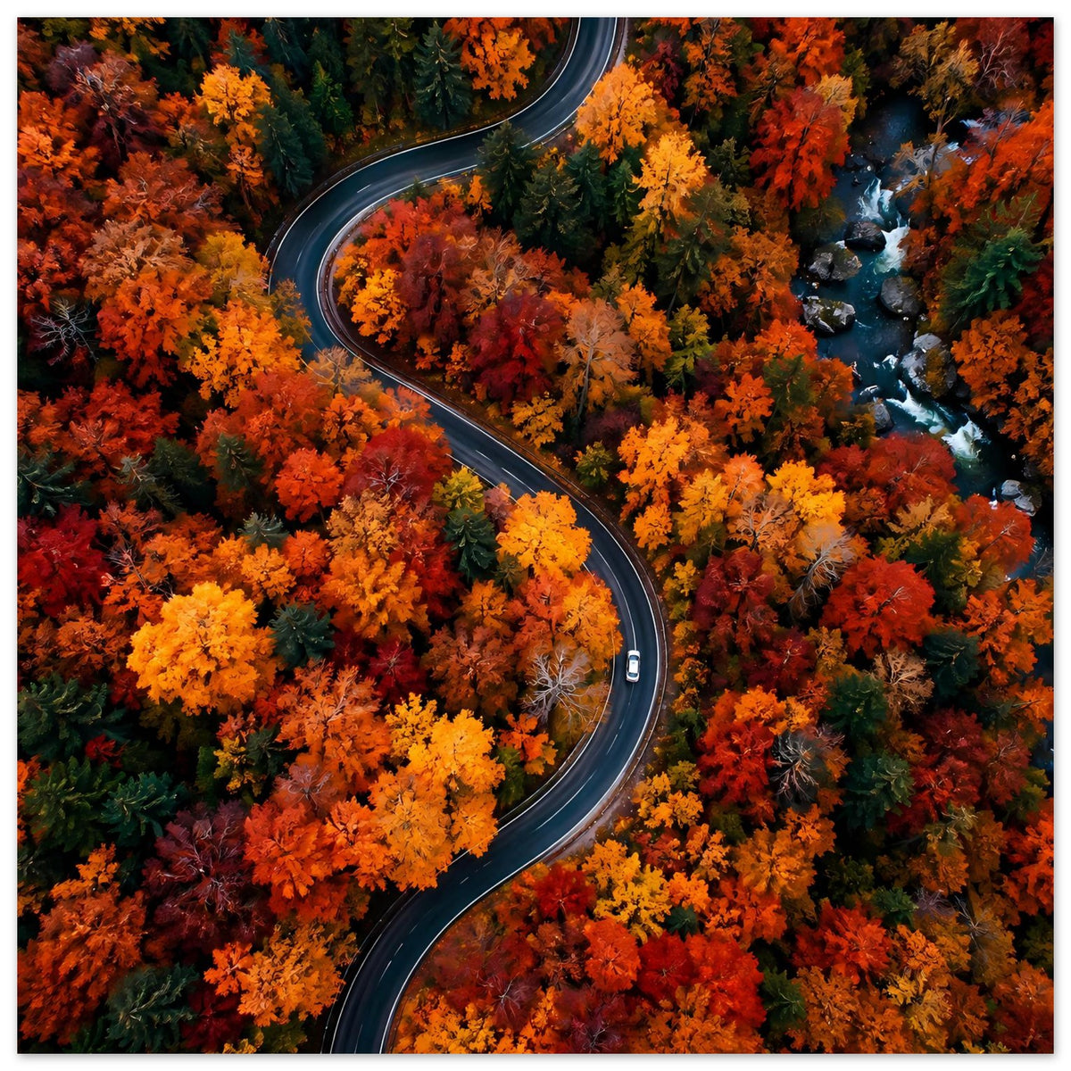 Herbstliches Poster mit geschwungener Straße durch bunten Herbstwald, leuchtende Baumkronen