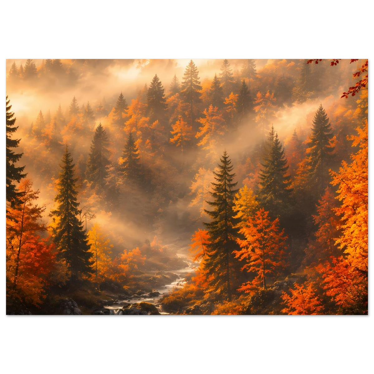 Herbstlandschaft-Poster mit Tannen im Nebel, goldenen Strahlen und Bach im Vordergrund