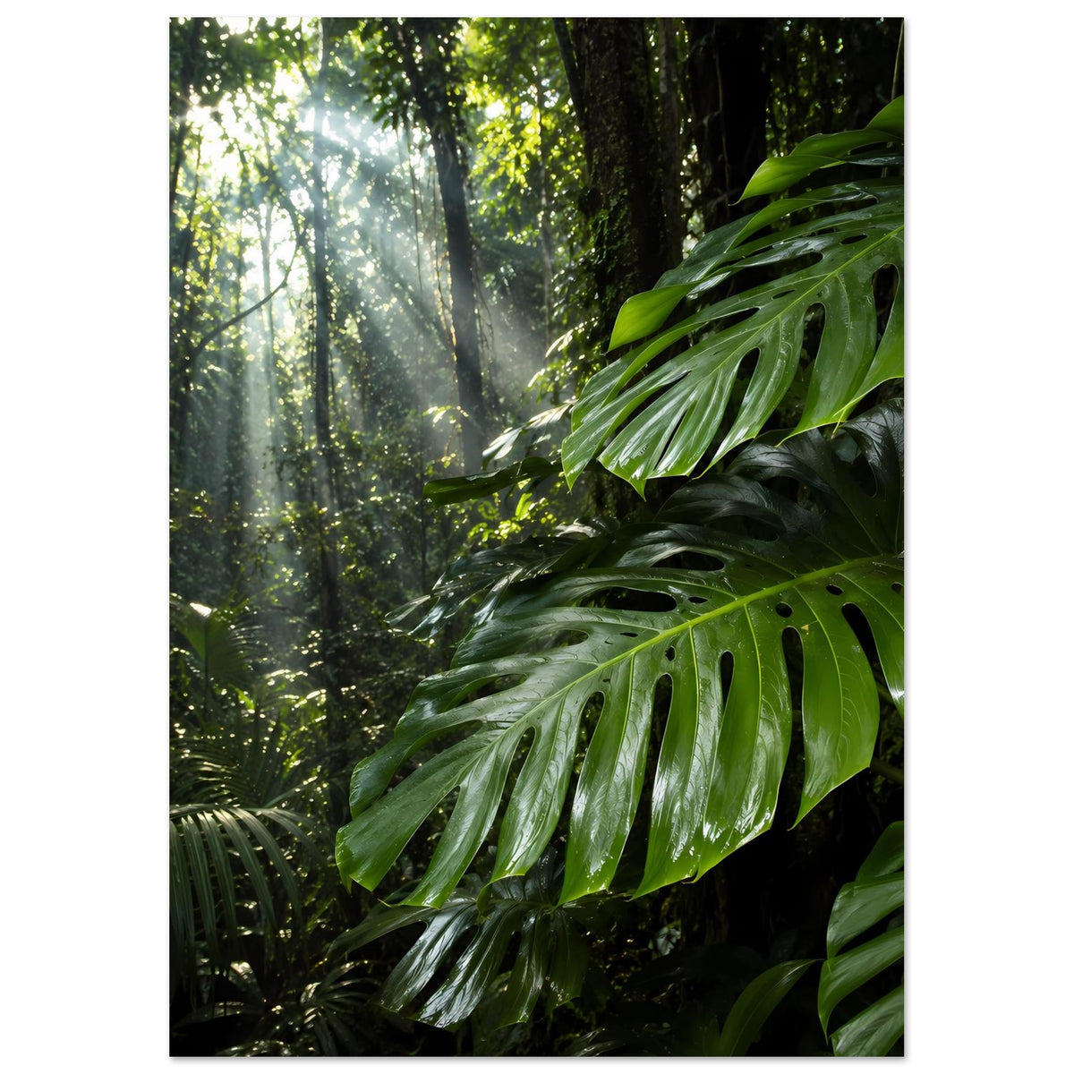 Jungle-Poster im Hochformat mit großen grünen Monstera-Blättern und nebligem Licht in der Tiefe