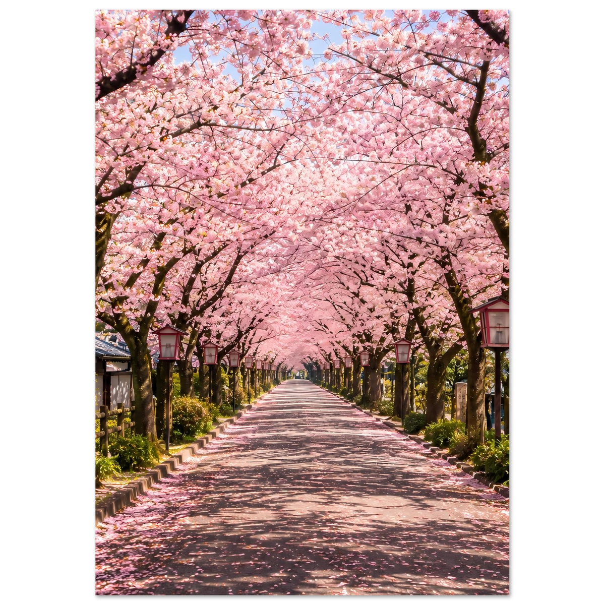 Vertikales Poster mit Kirschblüten über einer schnurgeraden Allee und Straße in der Mitte