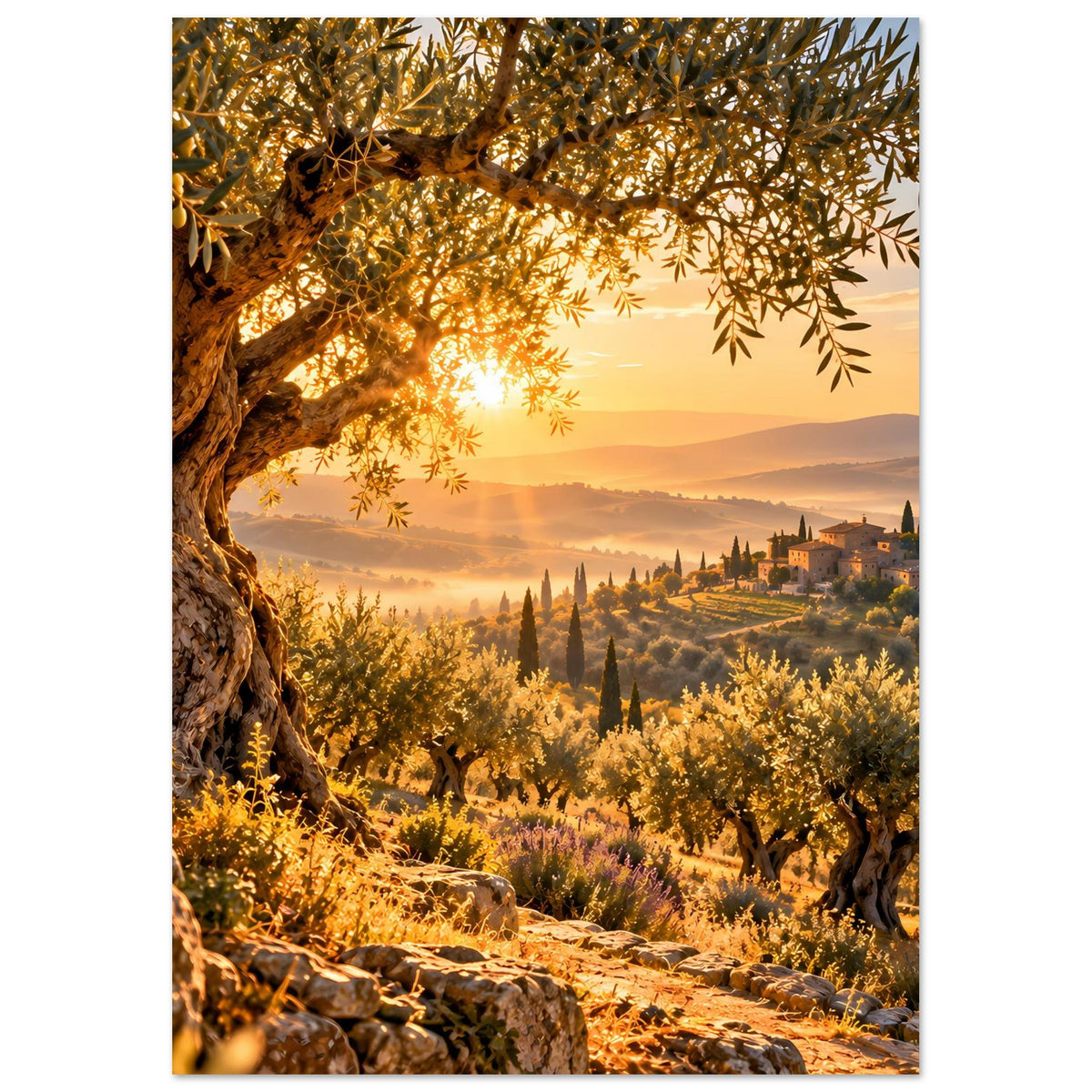 Landschaftsposter mit goldenem Sonnenaufgang über Olivenhainen und Hügeln, Dorf im Hintergrund.
