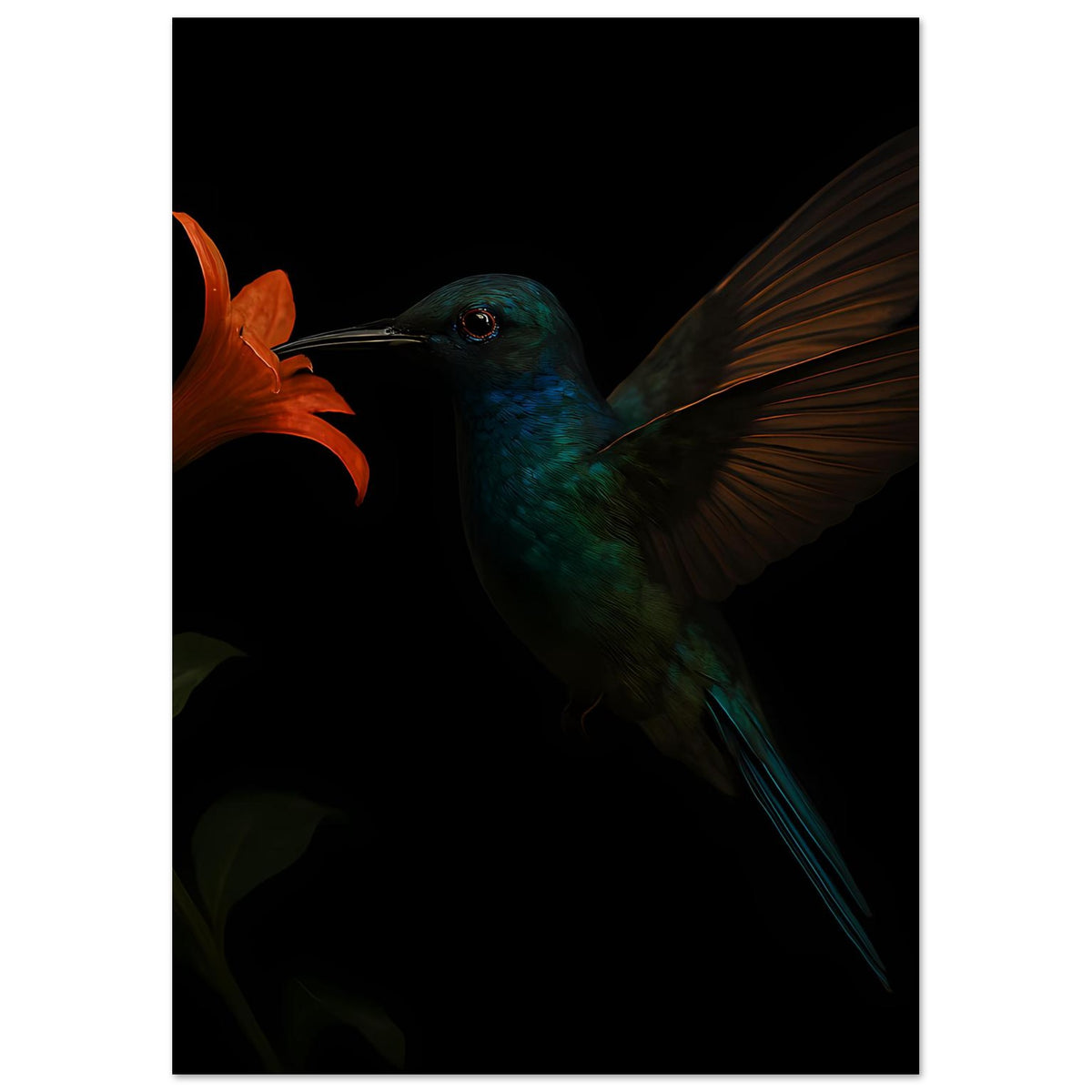 Poster im Hochformat: türkiser Kolibri mit langen Schwanzfedern und orangefarbene Lilie