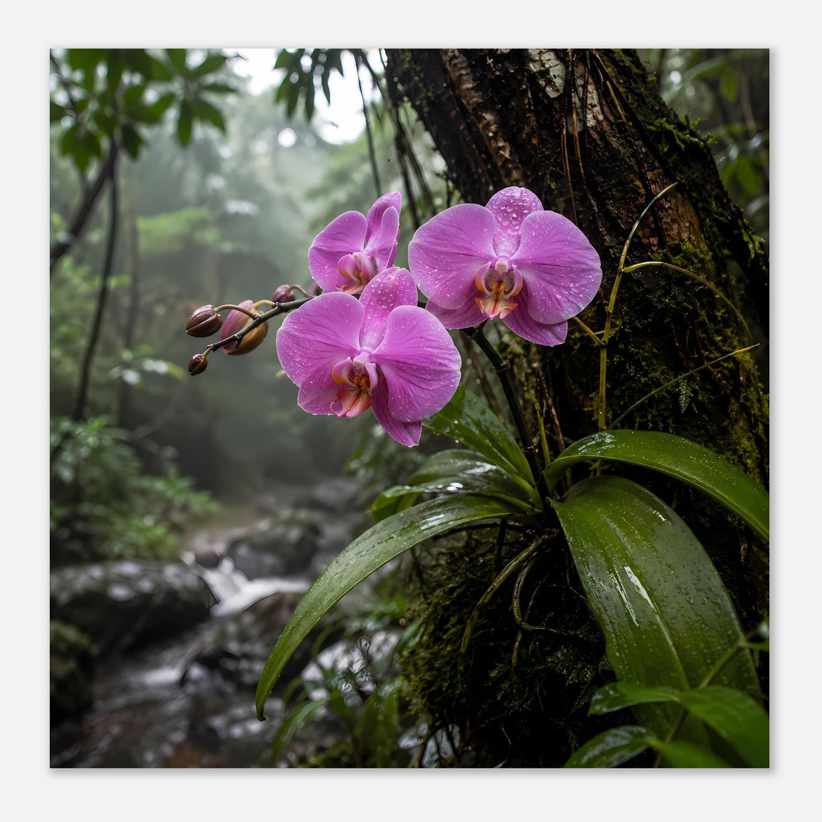 Wandposter mit drei rosafarbenen Orchideenblüten und grünem Blattwerk
